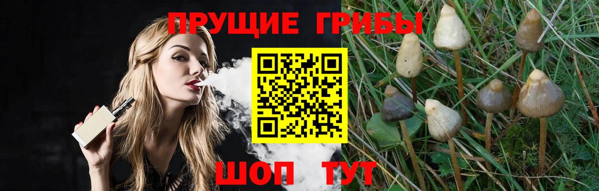 Псилоцибиновые грибы Psilocybe Верхняя Салда