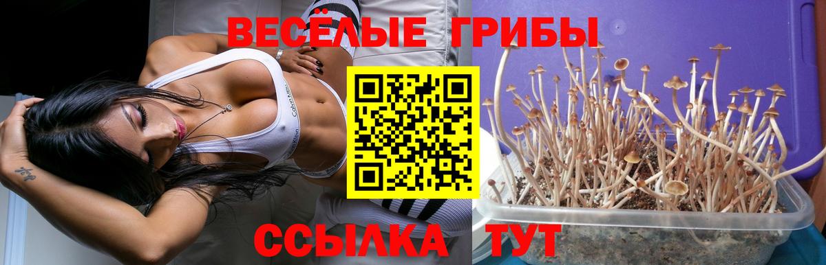 Верхняя Салда  Галлюциногенные грибы Magic Shrooms  Вход с VPN 
